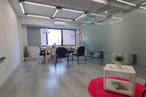 VIVEMASBUR AYUDA A DOMICILIO, Burgos