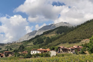 Residencia Santa Gregoria, Aliezo